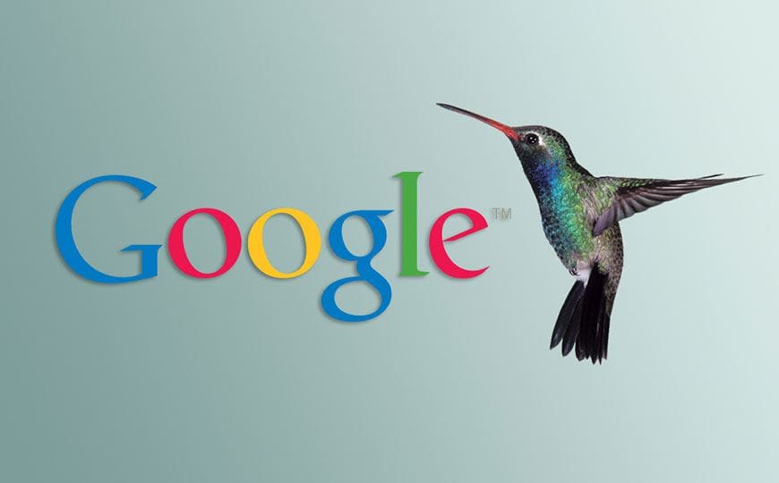 How to Make Google Hummingbird Love You | A Small Business Guide