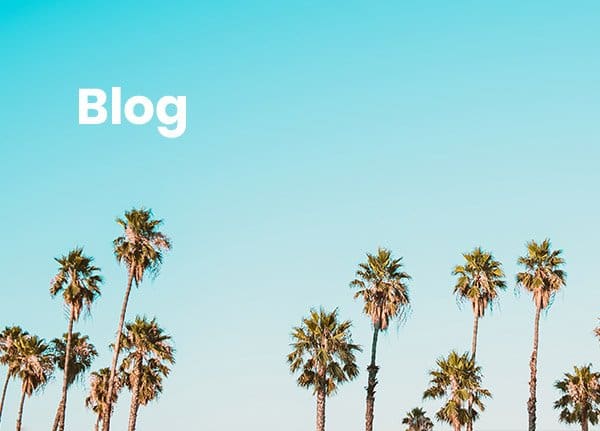 swell-clubs-blog