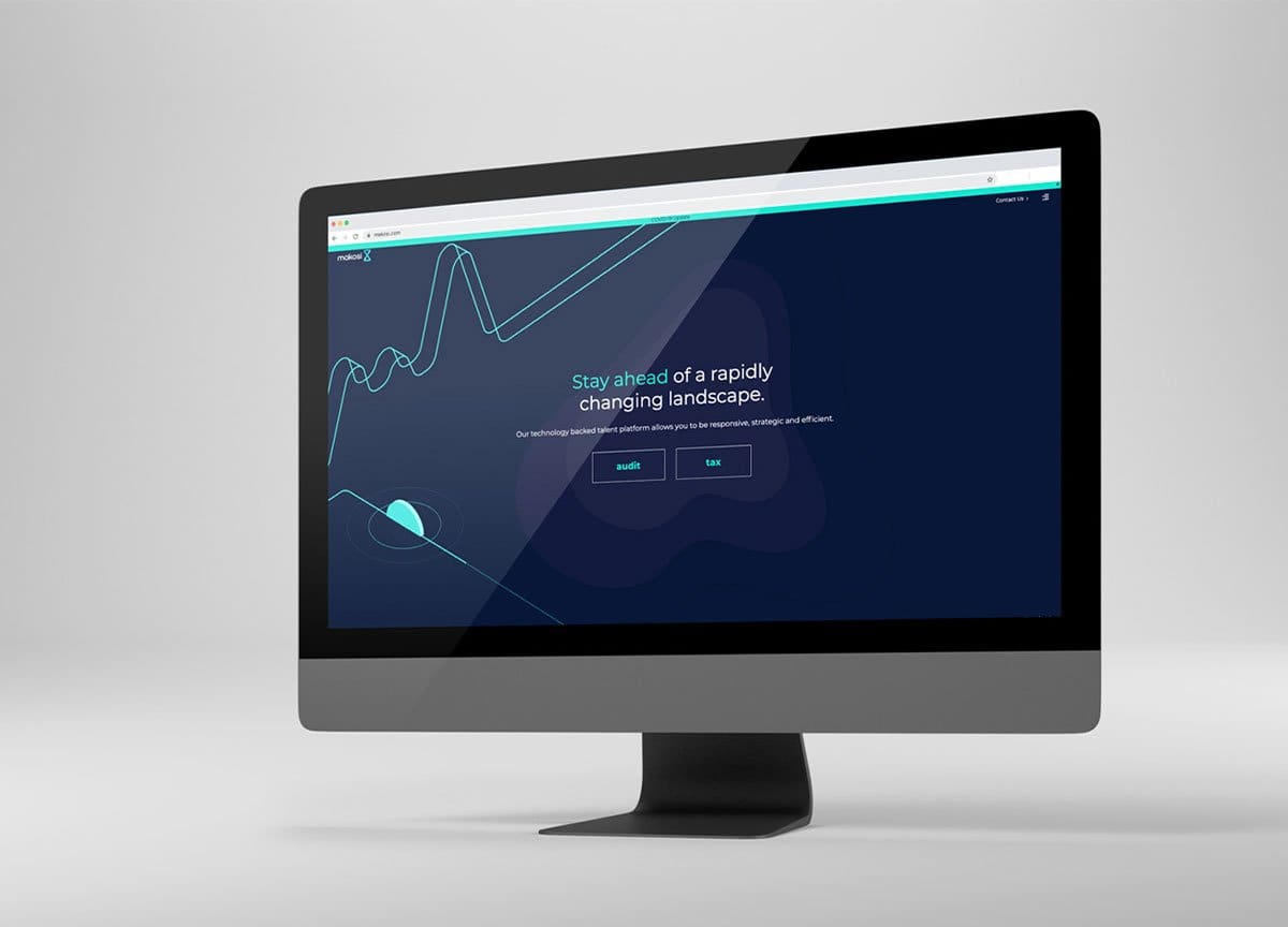 makosi-case-study-slider-new