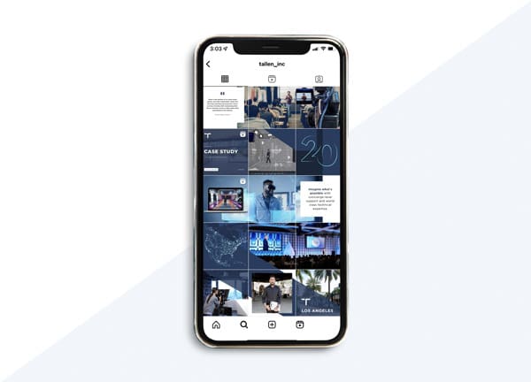 tallen-ig-grid