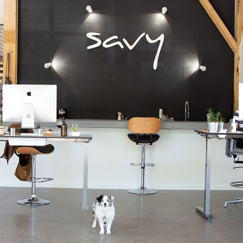 Savy digital marketing agency